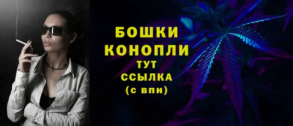 винт Осташков