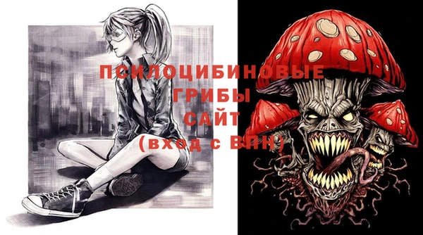 винт Осташков
