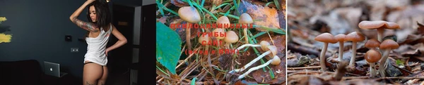 винт Осташков