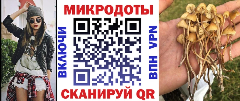 Купить закладки  Истра  Псилоцибиновые грибы MAGIC MUSHROOMS 