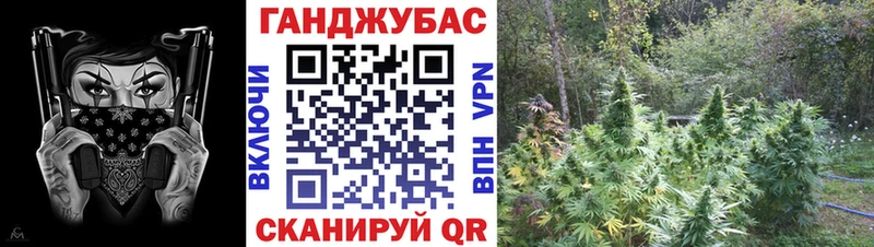Купить где  Истра  МАРИХУАНА ГИДРОПОН 